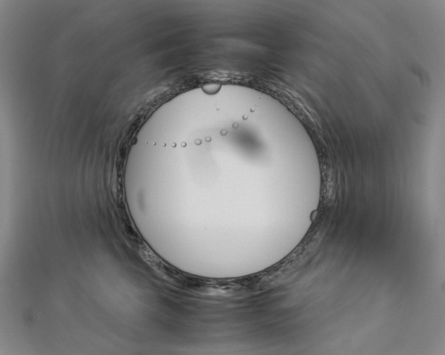 X0000113030569200908271058