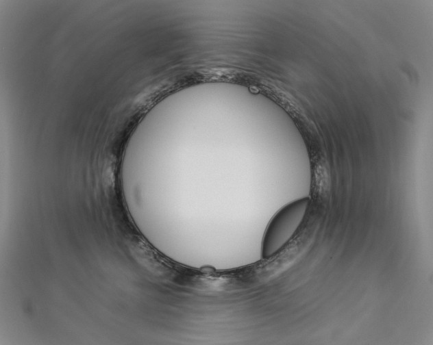 X0000113030570200908271058