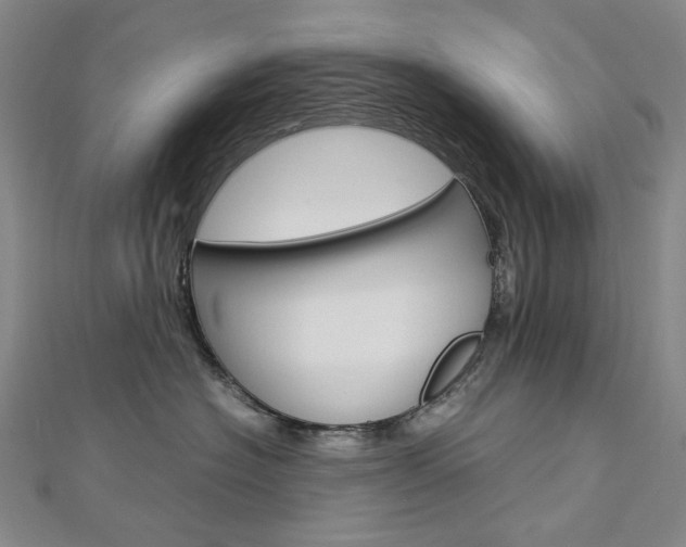 X0000113030574200908271058