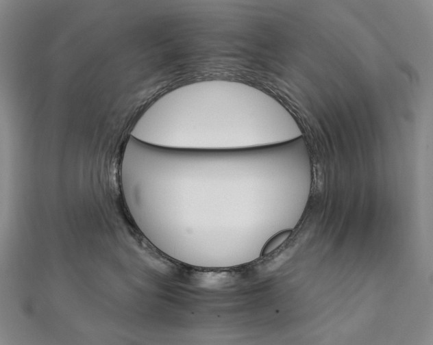 X0000113030575200908271058