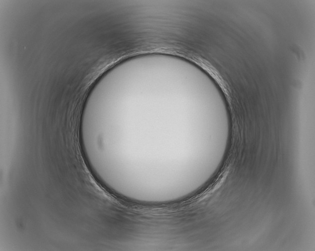 X0000113030577200908271057