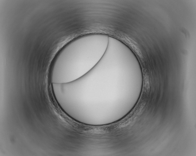 X0000113030578200908271057