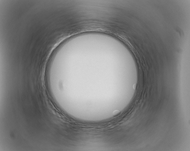 X0000113030579200908271057