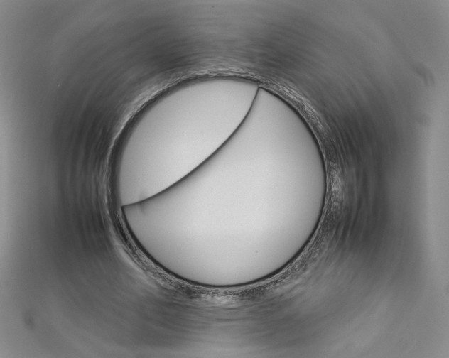 X0000113030582200908271057