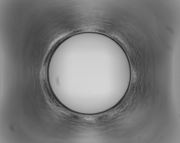 X0000113030583200908271057