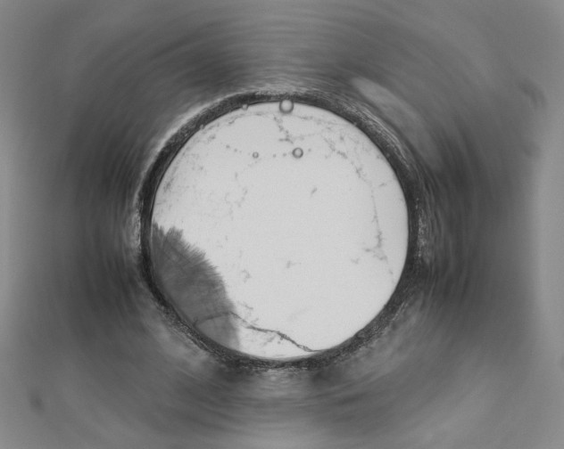 X0000113030584200908271057