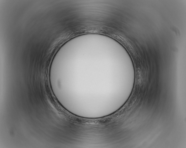 X0000113030586200908271057