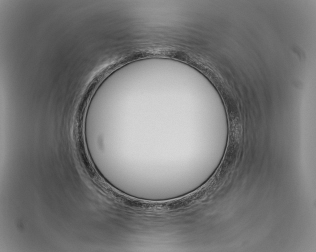 X0000113030587200908271057