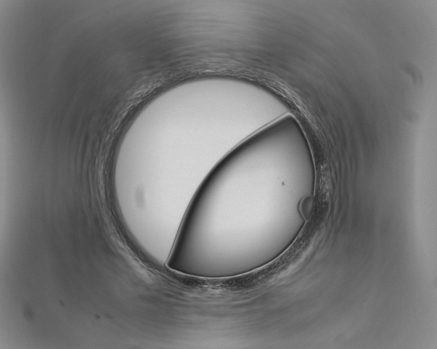 X0000113030589200908271057