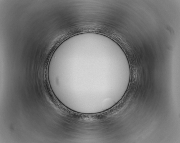 X0000113030590200908271057