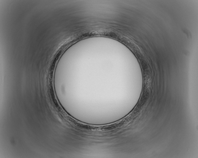 X0000113030591200908271057