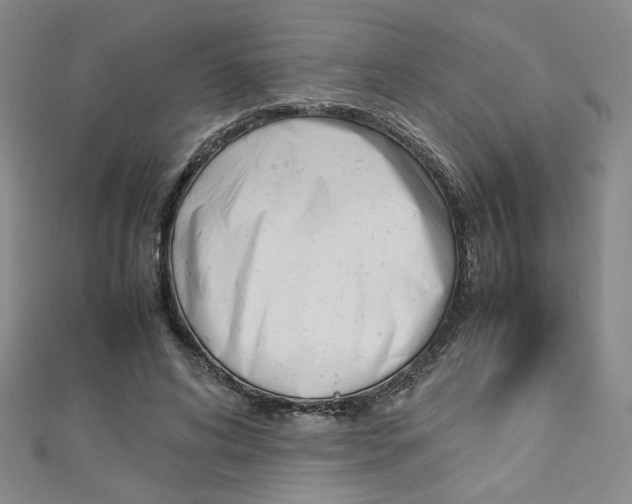 X0000113030592200908271057