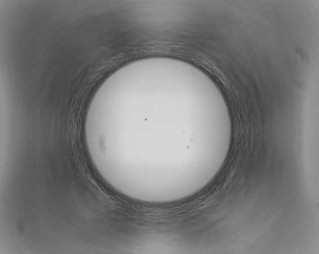X0000113030593200908271057