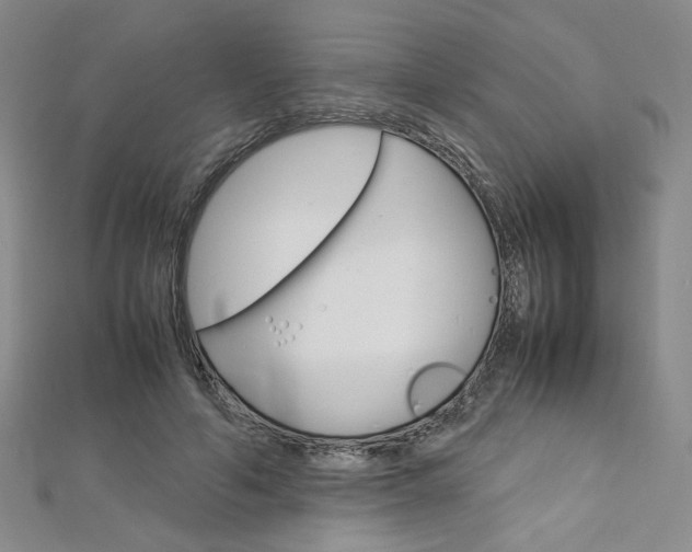 X0000113030594200908271057