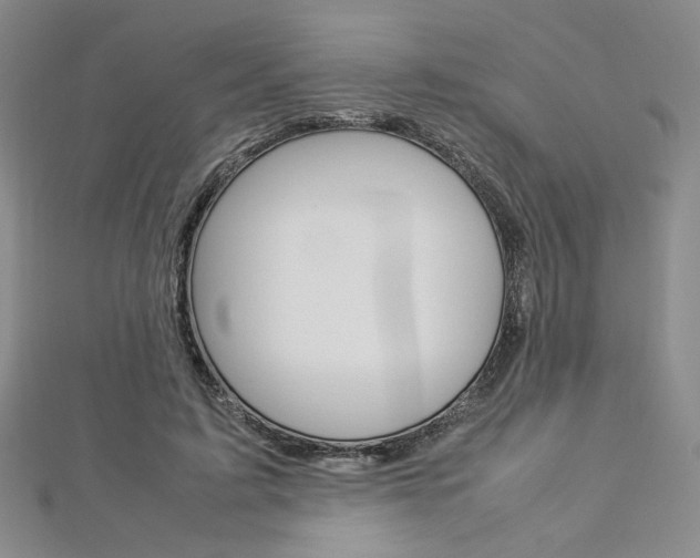 X0000113030595200908271057