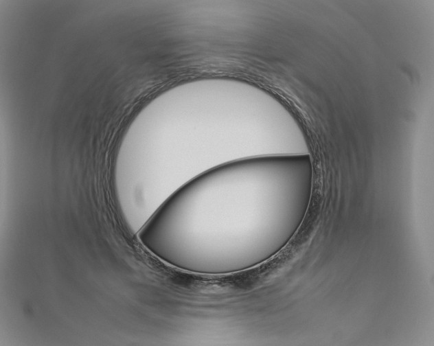 X0000113030597200908271057