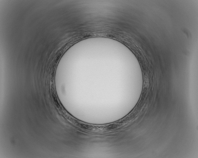 X0000113030599200908271057