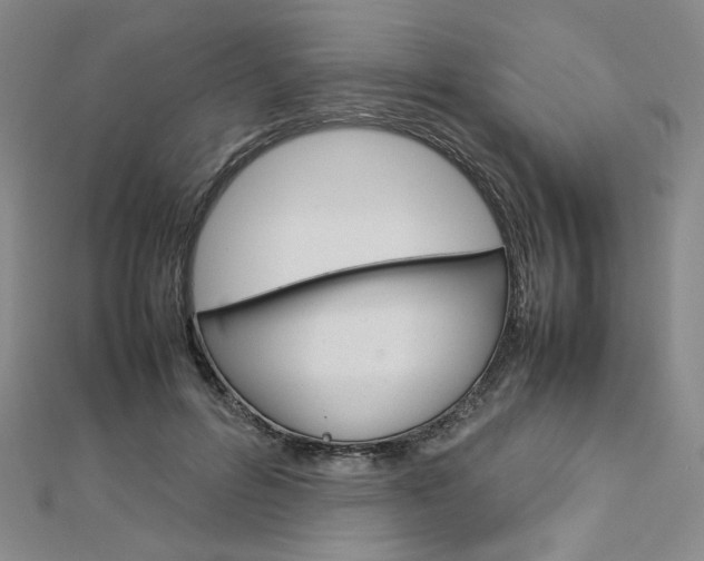 X0000113030600200908271057