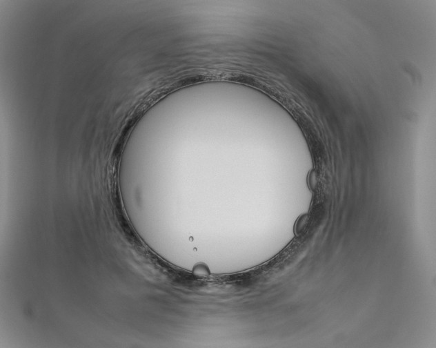 X0000113030601200908271057