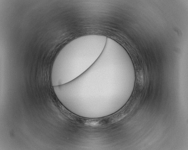 X0000113030602200908271057