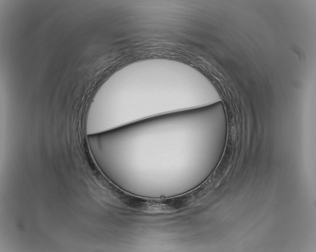 X0000113030605200908271057