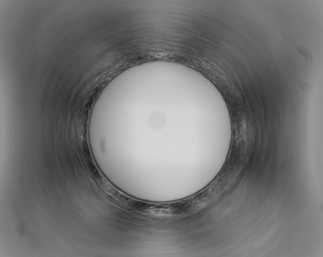 X0000113030606200908271057