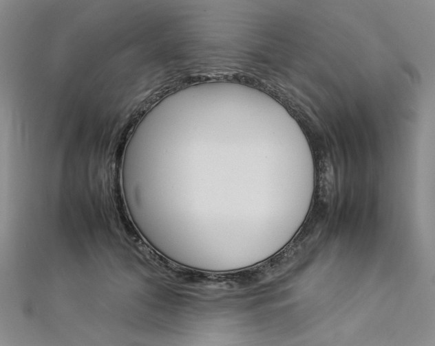 X0000113030608200908271057