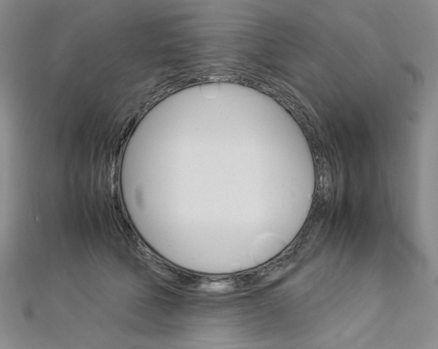 X0000113030610200908271057