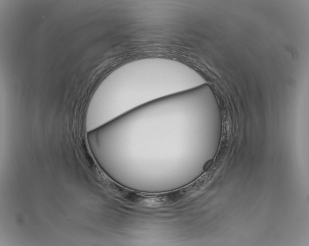 X0000113030611200908271057