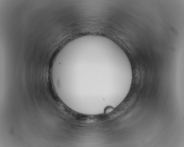 X0000113030612200908271057