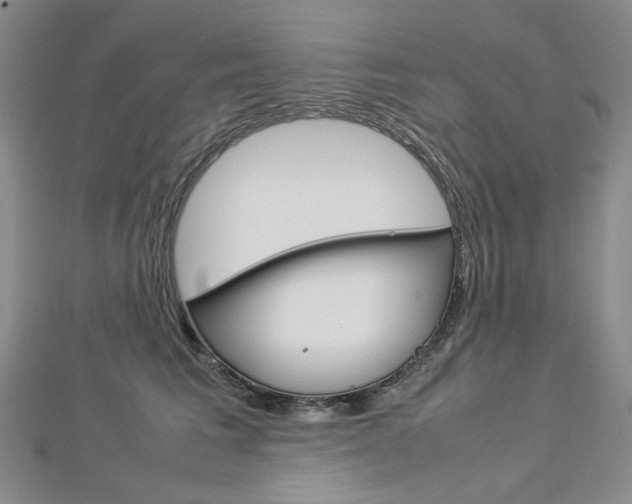 X0000113030613200908271057