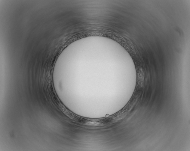 X0000113030614200908271057