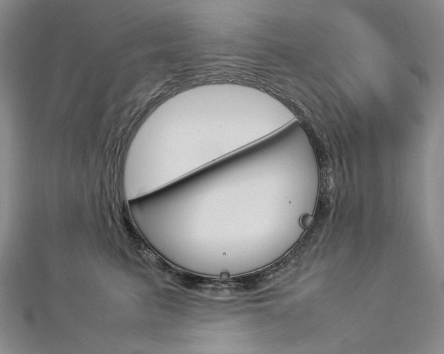 X0000113030615200908271056