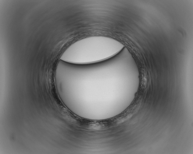 X0000113030616200908271056