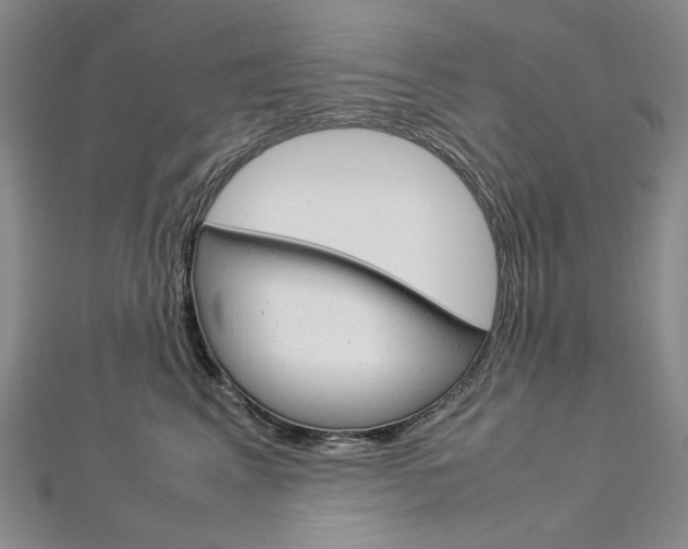 X0000113030617200908271056