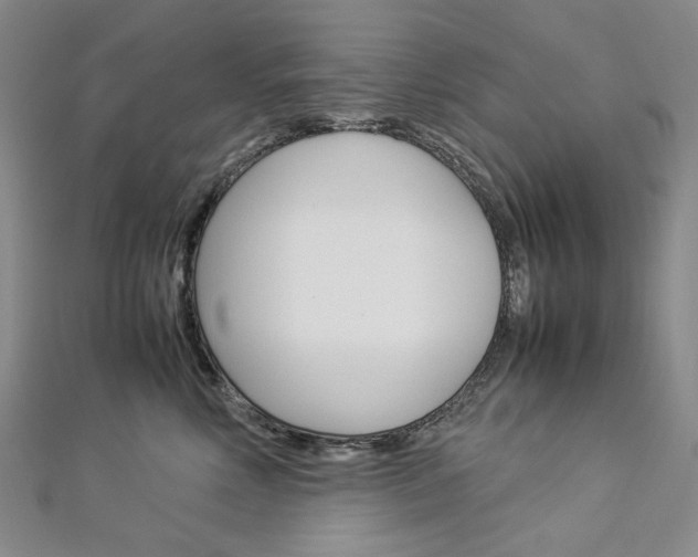 X0000113030618200908271056