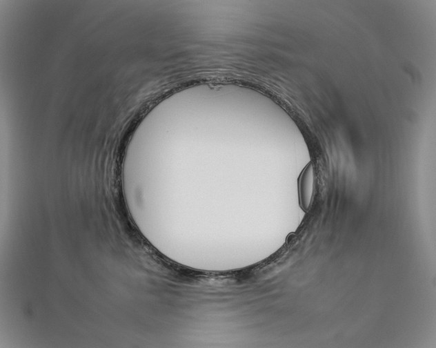 X0000113030619200908271056