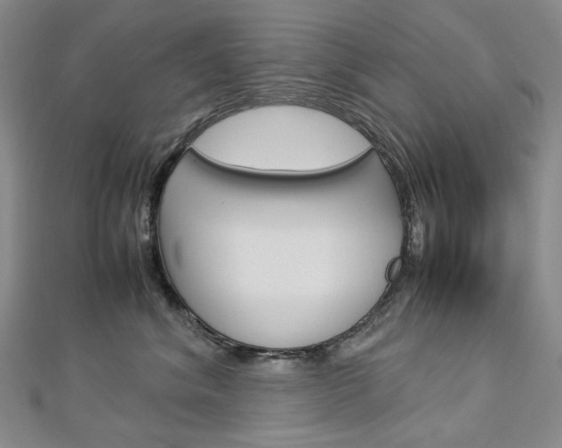 X0000113030620200908271056