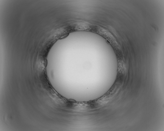 X0000113030621200908271056