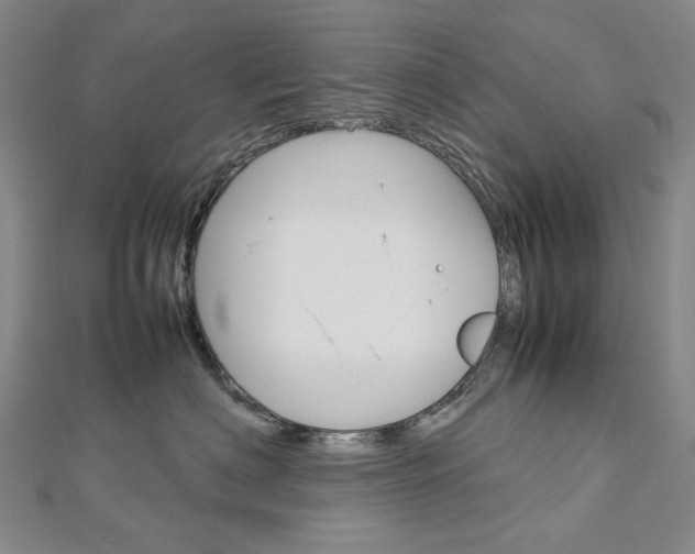 X0000113030622200908271056