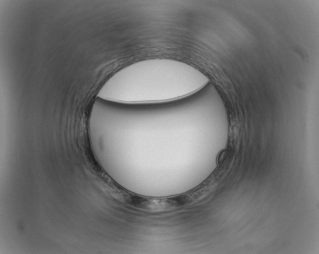 X0000113030623200908271056