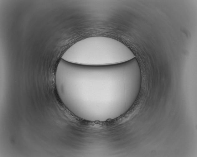 X0000113030624200908271056