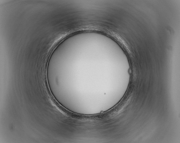 X0000113030625200908271055
