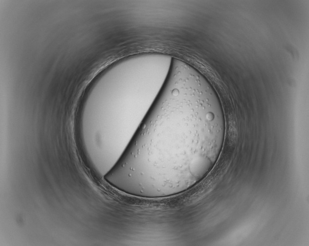 X0000113030626200908271055