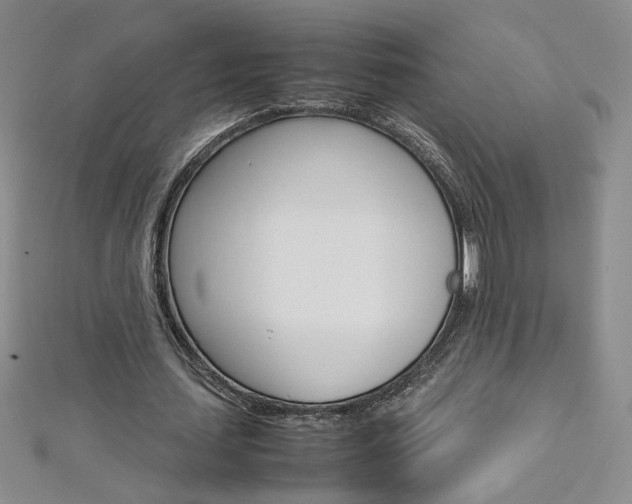 X0000113030627200908271055
