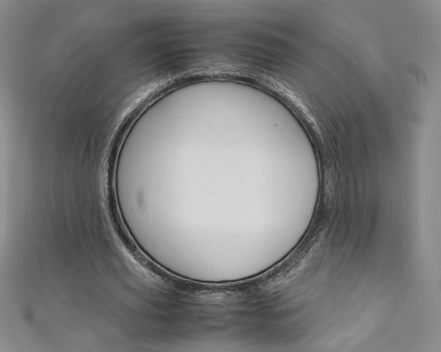 X0000113030629200908271055