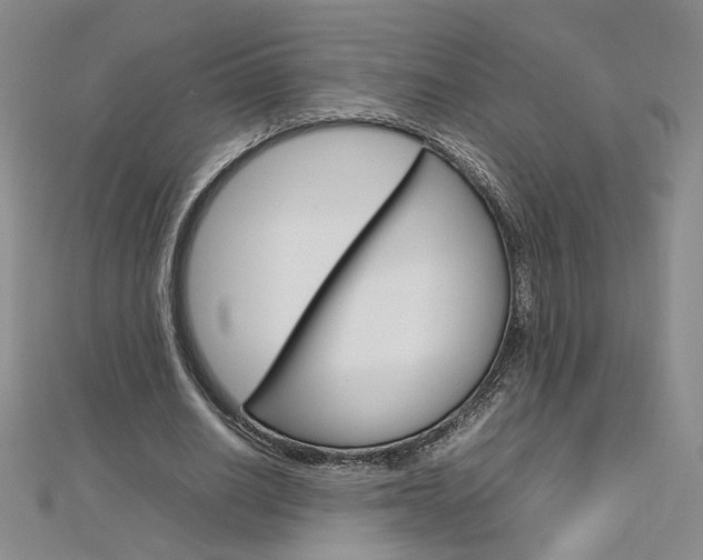 X0000113030630200908271055