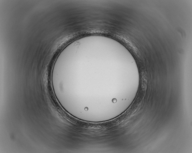 X0000113030631200908271055