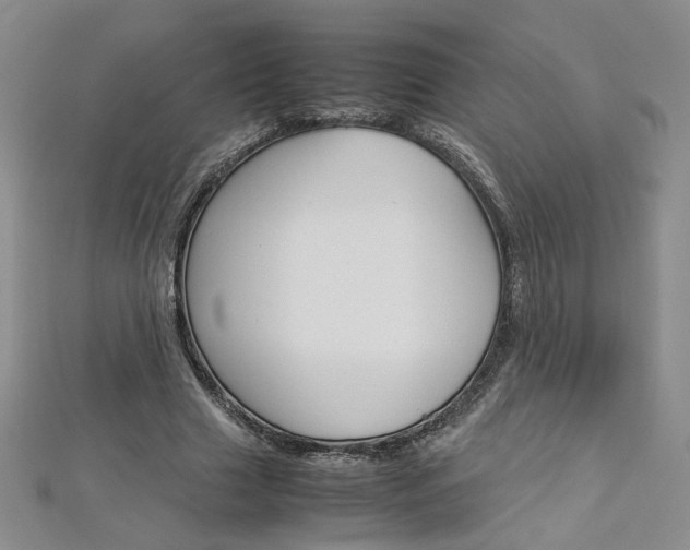 X0000113030633200908271056