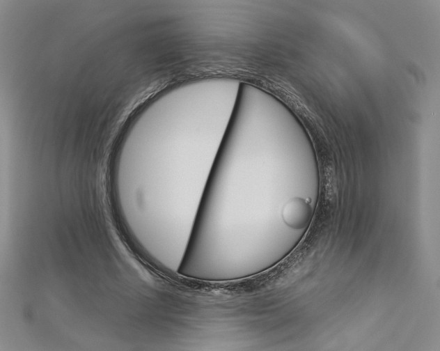 X0000113030634200908271056
